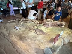 -自贡恐龙博物馆