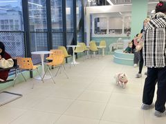 -怪兽屋·羊驼·猫咖·狗咖(俊华广场店)