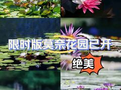 -上海辰山植物园