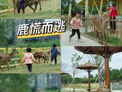 -佛山科学馆