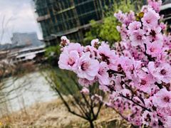 -长兴太湖图影湿地文化园