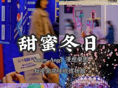 -金茂览秀城