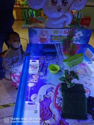 -卡通尼·Safari非洲探索乐园·生日会(金桥国际商业广场店)