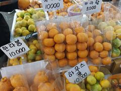 -西归浦每天偶来市场