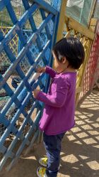 -萌宠亲子动物乐园(槐房万达店)