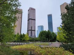 -大望京公园
