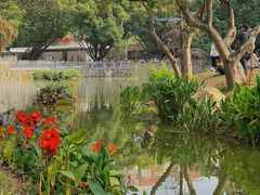 -人民公园(罗湖区)