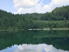 -武陵山森林公园