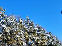 -长春市南湖公园