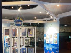 -上海海洋水族馆