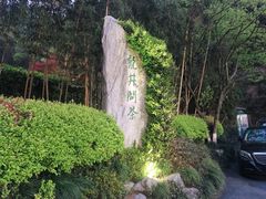 景观位-十八棵（老龙井）御茶园(老龙井店)