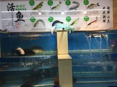 -屯老二农家铁锅炖·行业领军者(梅江店)