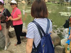 -竹泉村旅游度假区
