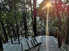 -火炉山森林公园