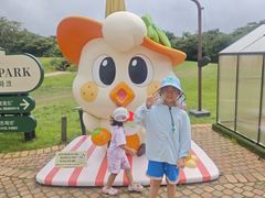 -济州森林小火车生态公园