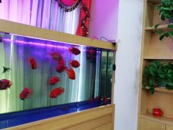 -WENDY·温迪皮肤管理