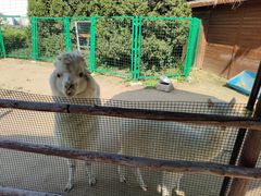 -南戴河国际娱乐中心