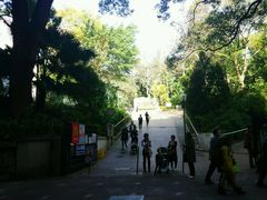 -九龙公园