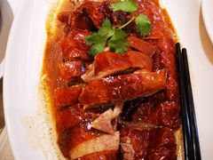 -锦粤宫·精致粤菜(深圳北站店)