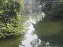 -火炉山森林公园