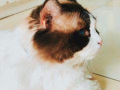 -百信宠物医院(东升街店)