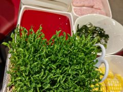 -海底捞大排档火锅(打浦路店)