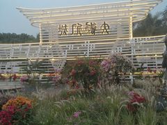 -莲花山公园