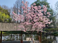 -杭州湖滨in77