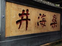 -燊海井