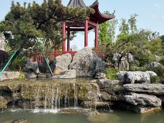 -东莞植物园