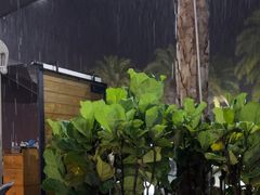 -木屋烧烤(惠阳华润小径湾店)