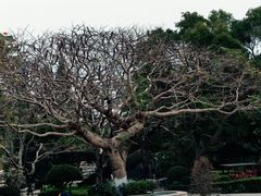 -胡里山炮台