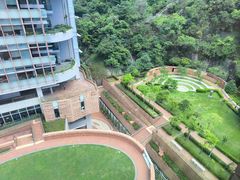 -香港大学