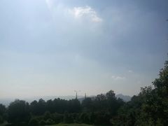 -铁山坪森林公园