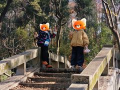 -青龙山国家森林公园