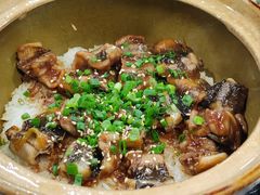-红星光发煲仔饭(文海店)