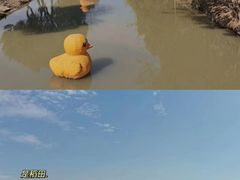 -嘉北郊野公园