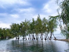 -抚仙湖禄充风景区