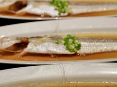 -子福慧(虹桥店)