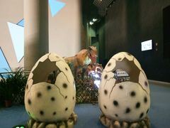 -广东科学中心科技影院