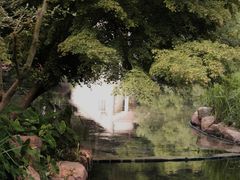 -上海共青森林公园