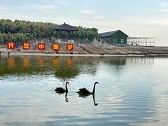 -南大港湿地风景区