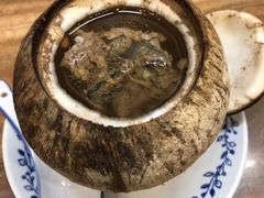 -達揚原味燉品(文明路店)
