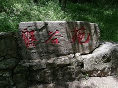 -牛背梁国家森林公园