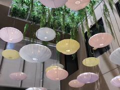 -同乐轩港式早茶