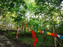 -五台山风景名胜区