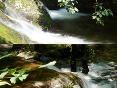 -牛背梁国家森林公园