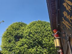 -乌山风景区