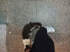 -红棚子肚绷·徐州烧烤(南京店)