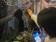 -海边的猫和咖啡馆